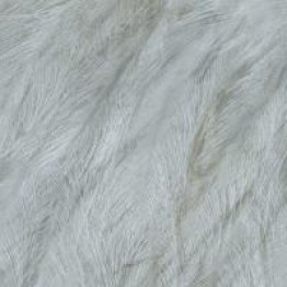 Gạch Trường Thịnh ANIMAL LAND FP8004